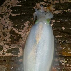 今シーズンラスト‼