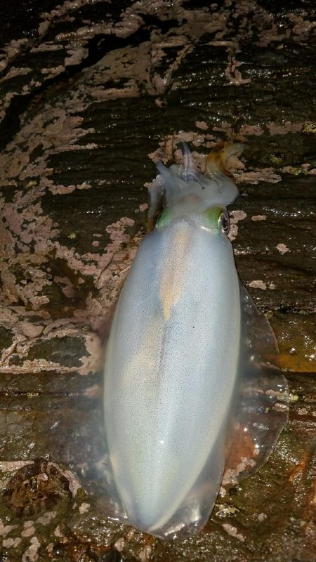 今シーズンラスト‼