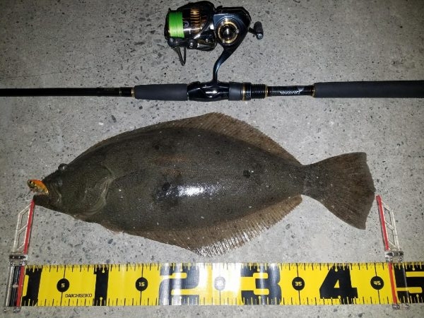 サーフ、河口部