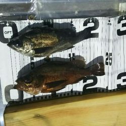 なんかイマイチ…