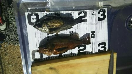 なんかイマイチ…