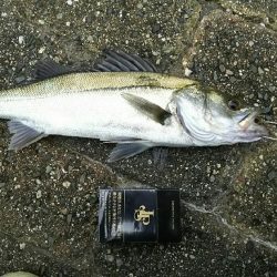 今日も仕事前に♪