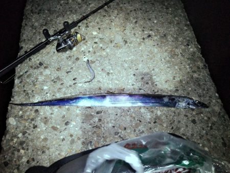 太刀魚釣り・・・渋かった(;´д｀)