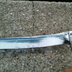 連日タチウオ好釣!!