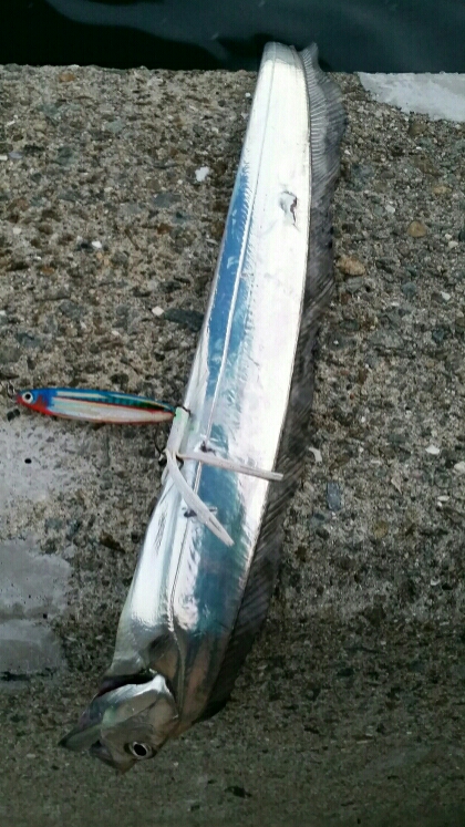 出ました！ドラゴン！！