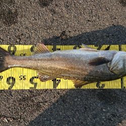 早起きしないと