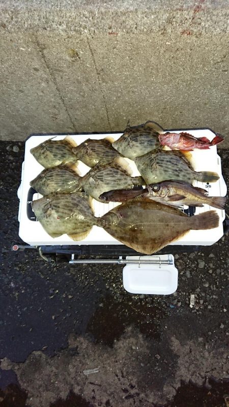 胴突き＆ヘチ釣り