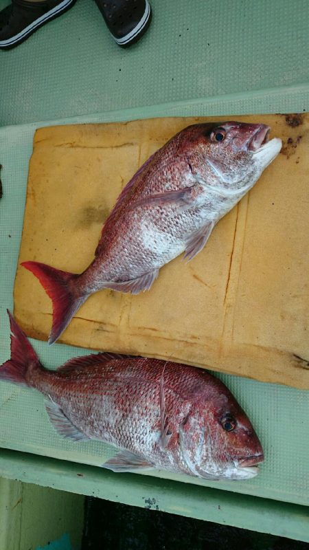 インチクでの釣果