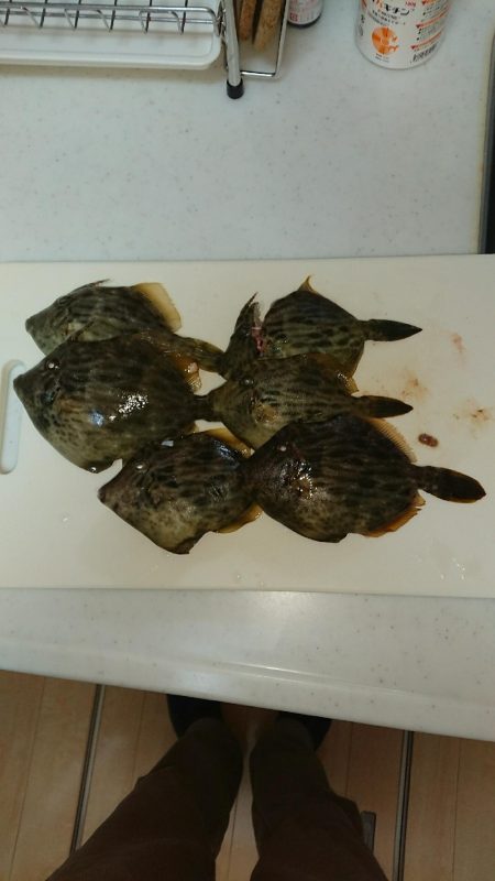 残念1cm足りない❗