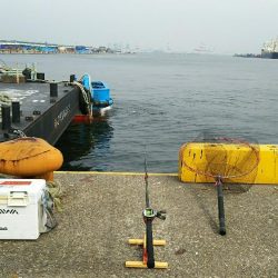 初めての仕掛けにて