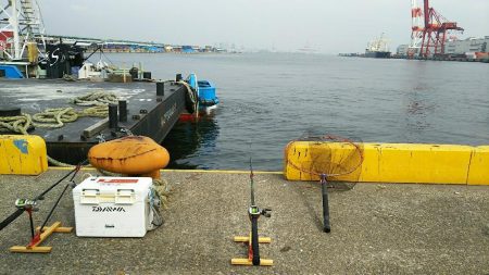 初めての仕掛けにて