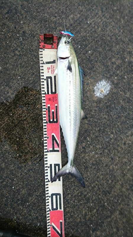 人っこ一人いない