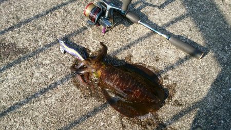 運良く１杯(;^_^A