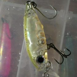 今シーズン初のメバルプラッギングへ！