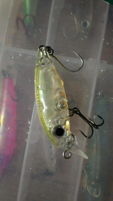 今シーズン初のメバルプラッギングへ！