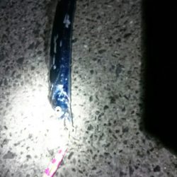 爆風！刀狩り❗