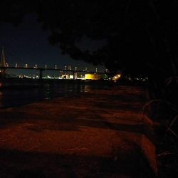 強風のアジ探し