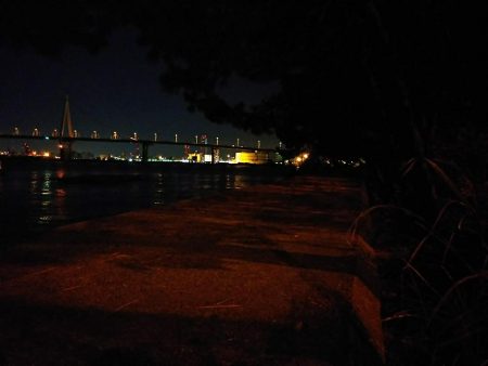 強風のアジ探し