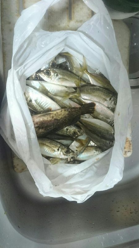 おだやかな天気でした