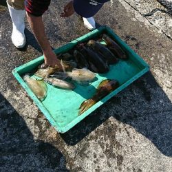 ティップラン釣行