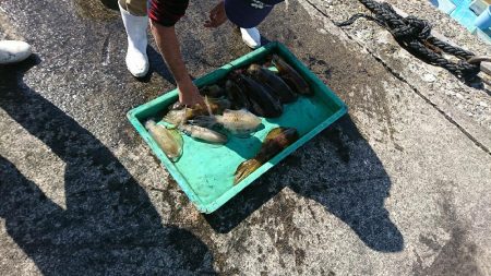 ティップラン釣行