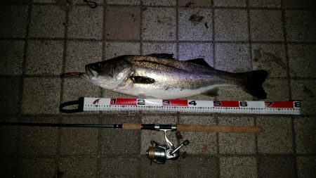 70オーバー！！！