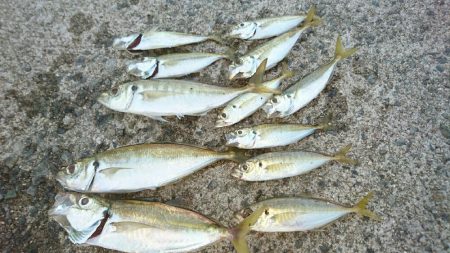 デーアジングは楽しい❗