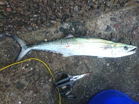 そろそろ終わりか…