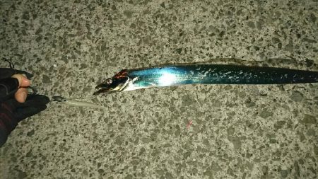 久しぶりのワインド