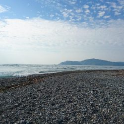 仁淀川河口サーフ