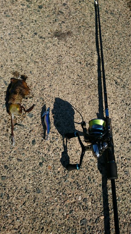 ボウズは免れたが、、