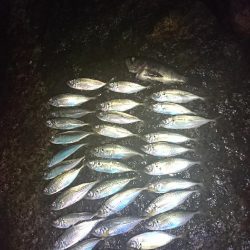 ライトゲーム楽しい！