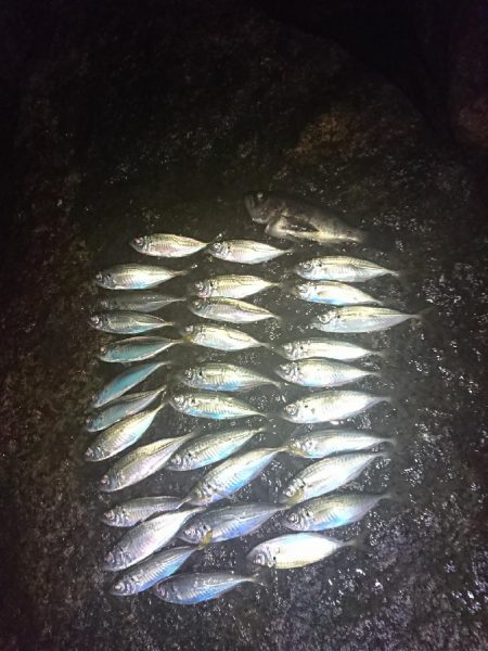 ライトゲーム楽しい！