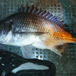 堪能出来ました