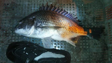 堪能出来ました