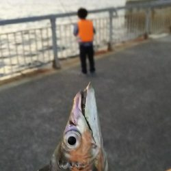 朝練のリベンジ