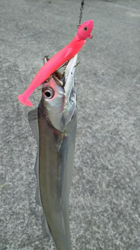 ㊗️三桁いきました～！