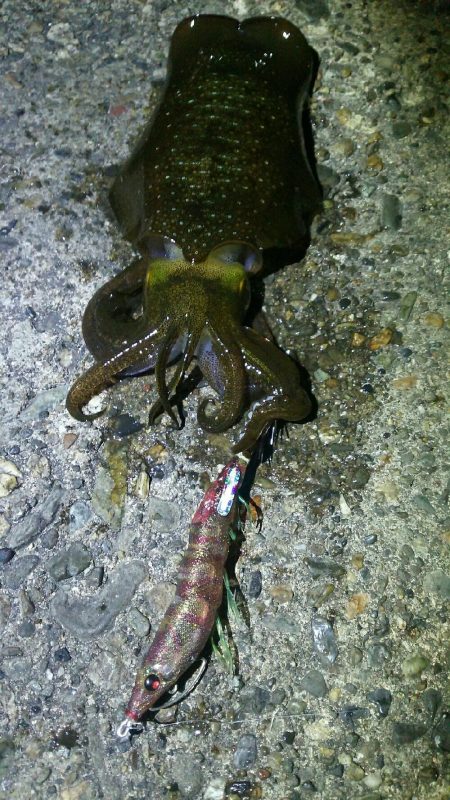 食べ比べチャーンス(笑)