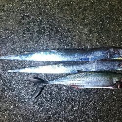 久しぶりの武庫川一文字