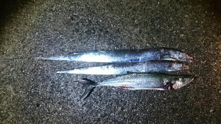 久しぶりの武庫川一文字