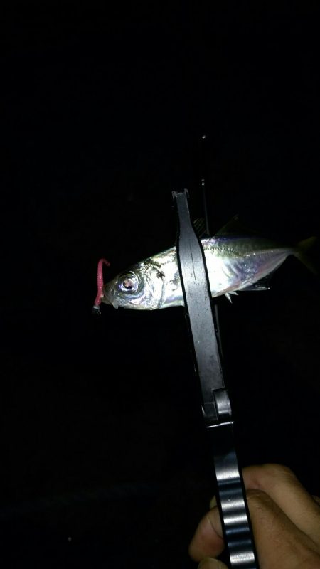 長距離ランガン！！