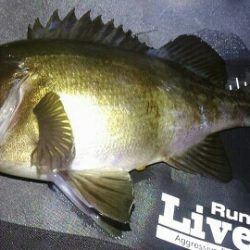 ２日連続25アップ