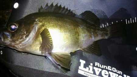 ２日連続25アップ