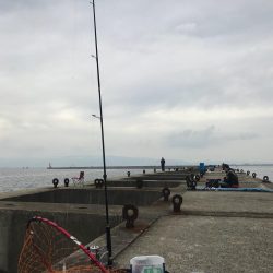 タチウオワインド