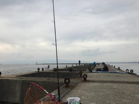 タチウオワインド