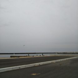 アイナメげっと