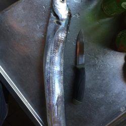 キビシィ〜❗️