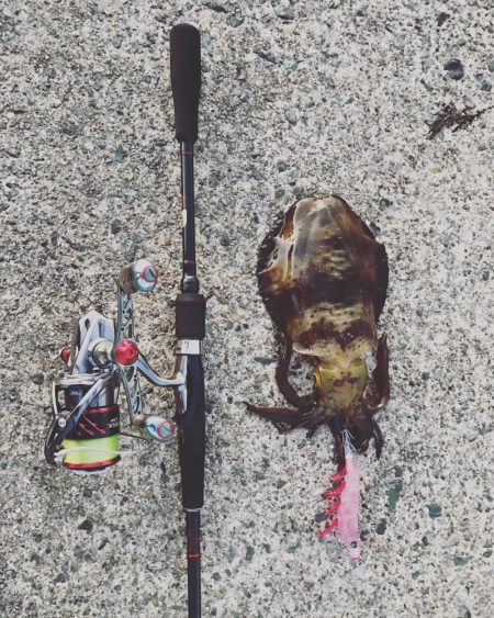 ひさびさランガンエギング〜！