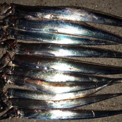 連日またまたタッチー(^^)