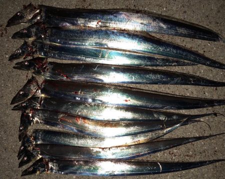 連日またまたタッチー(^^)